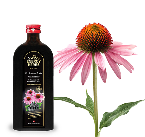 Thuốc bổ vitamin